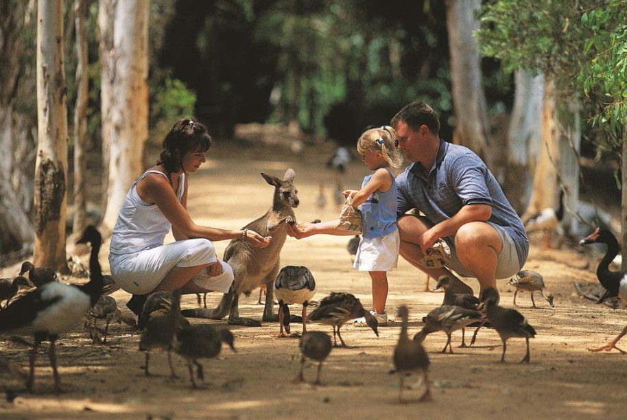 Tourism Guide