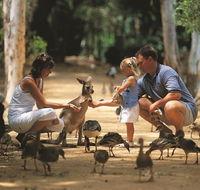 Billabong Sanctuary - Tourism Guide