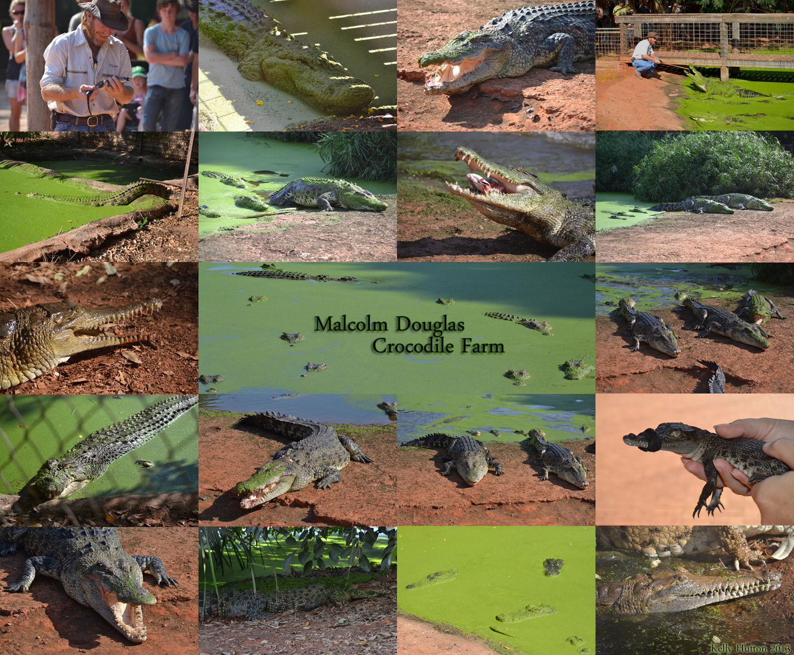  Tourism Guide