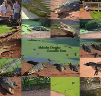 The Malcolm Douglas Crocodile Park - Tourism Guide