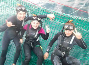 Dolphin Swim Australia - Tourism Guide 7