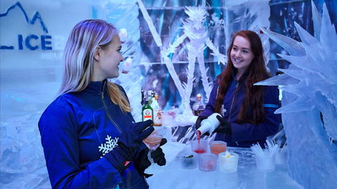 Icebar Melbourne - Tourism Guide 1