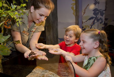 WILD LIFE Sydney Zoo - Tourism Guide 1