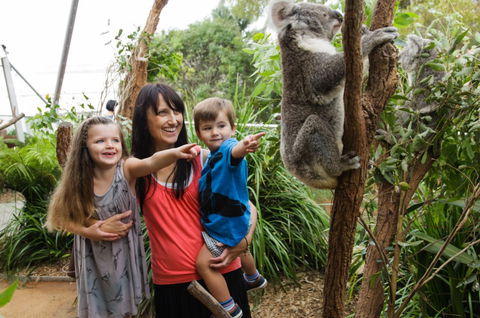 WILD LIFE Sydney Zoo - Tourism Guide 3