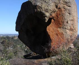 Eagle's View Walk, John Forrest National Park - Tourism Guide 0