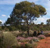 Karlkurla Bushland Park - Tourism Guide