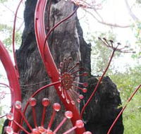 Understory Art In Nature - Tourism Guide