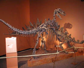Denmark Dinosaur World - Tourism Guide 0
