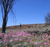 Talgomine Reserve - Tourism Guide