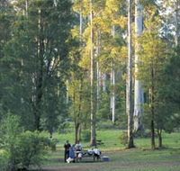 Big Brook Arboretum - Tourism Guide