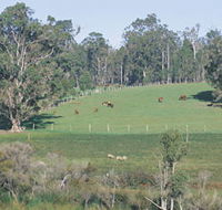 Scenic Drives - Bunbury Collie Donnybrook - Tourism Guide