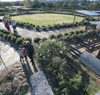 Kojonup Rose Maze - Tourism Guide