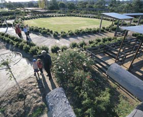 Kojonup Rose Maze - Travel Agents 0