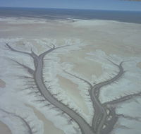 Tidal Flats - Tourism Guide