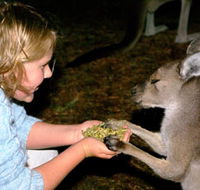Discovery Bay's Walk on the Wild Side - Tourism Guide