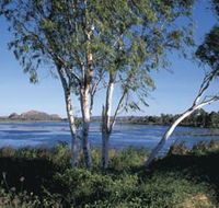 Celebrity Tree Park - Tourism Guide