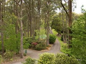 Mount Lofty Botanic Garden - Tourism Guide 0