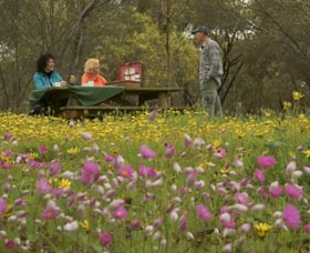 Gwambygine Park - Tourism Guide 0