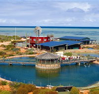 Ocean Park Aquarium - Tourism Guide