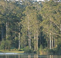 Big Brook Dam - Tourism Guide