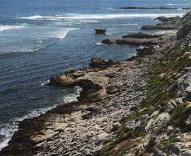 Cape Vlamingh - Tourism Guide 0