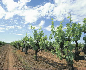 Nillup WA Travel Agents