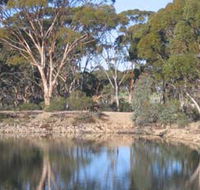Merredin Railway Dam - Tourism Guide