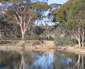 Merredin Railway Dam - Tourism Guide 0