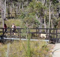 Forest Path Crooked Brook - Tourism Guide