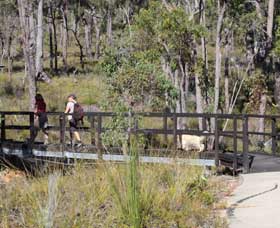 Forest Path, Crooked Brook - Tourism Guide 0