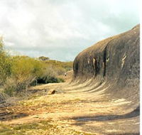 Totadgin Dam Reserve - Tourism Guide
