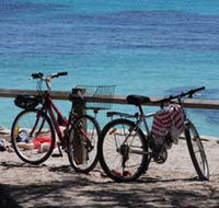 Parker Point Marine Snorkel Trail - Tourism Guide