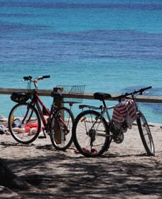 Parker Point Marine Snorkel Trail - Tourism Guide 0