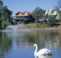 White Swans - Tourism Guide