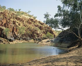 Caroline Pool - Tourism Guide 0