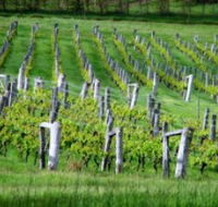 Sienna Estate Winery - Tourism Guide
