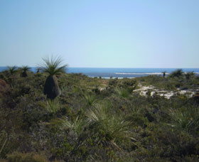 Lesueur National Park - Travel Agents 0