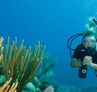 Coastal Water Dive - Tourism Guide
