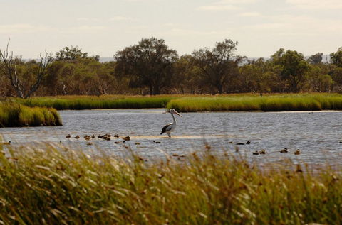 Anytime Adventures In Mandurah & The Peel Region - Tourism Guide 0