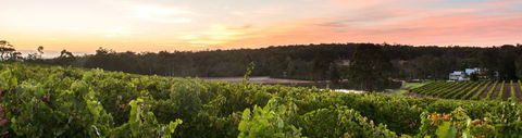 Aravina Estate - Tourism Guide 0