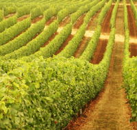 Happs Wines - Tourism Guide