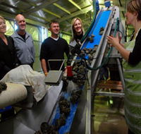Eyre Peninsula's Seafood Trail - Tourism Guide