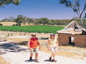 Clare SA Cruises Travel