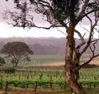 Yangarra Estate Vineyard - Tourism Guide