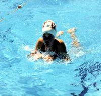 Mount Gambier Aquatic Centre - Tourism Guide