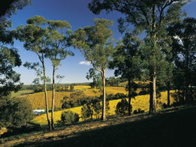 Lobethal Archives And Historical Museum - Tourism Guide 0