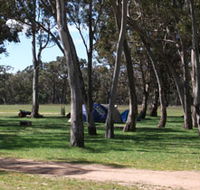 Black Cockatoo Bush Camp - Tourism Guide
