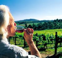 Ashton Hills Vineyard - Tourism Guide