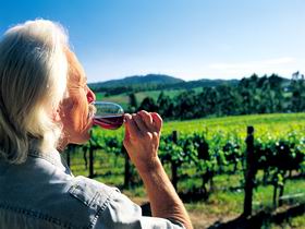 Ashton Hills Vineyard - Tourism Guide 0