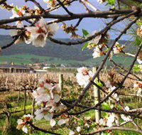 Cradle of Hills McLaren Vale Winery - Tourism Guide